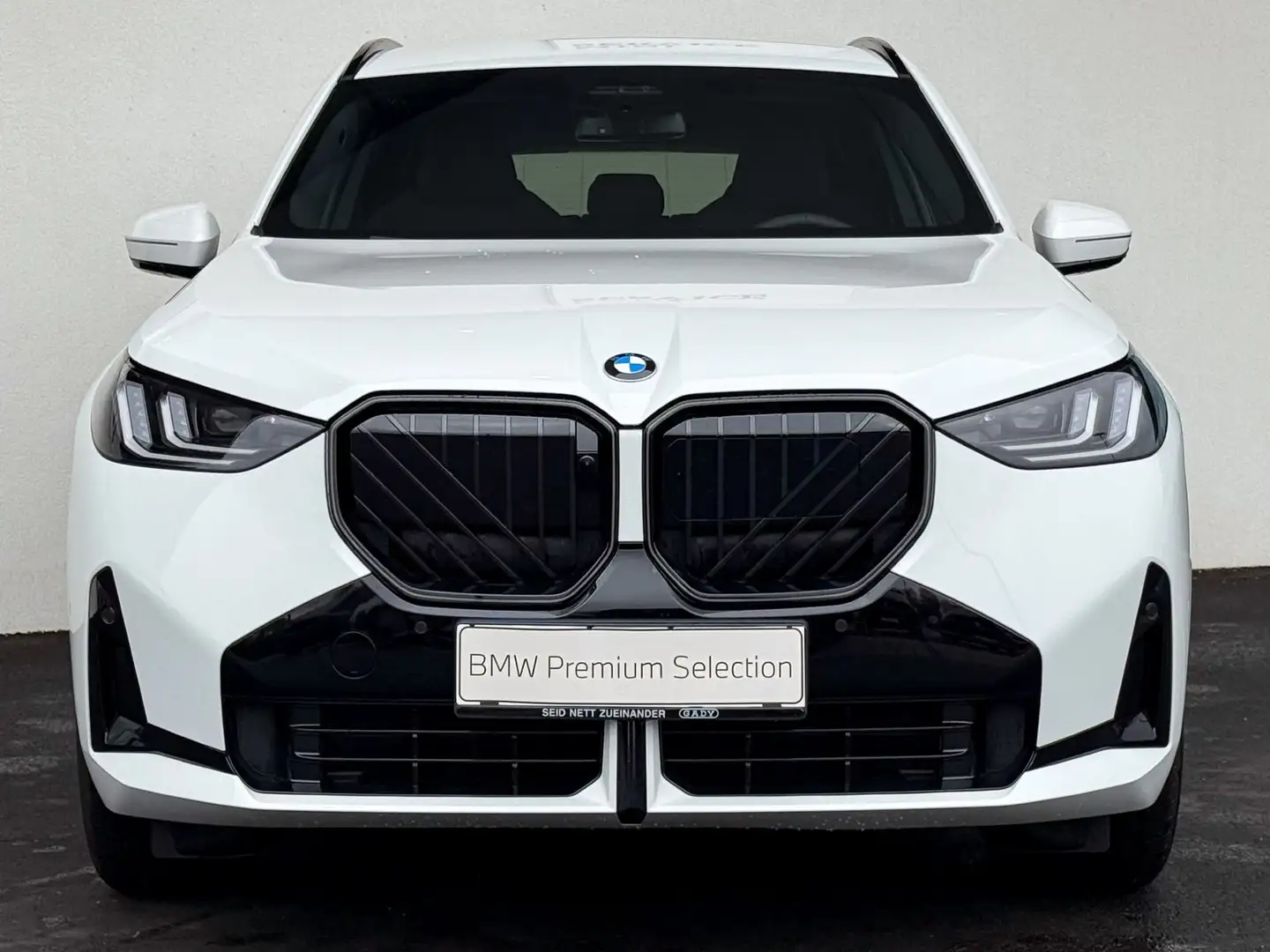 BMW X3 30e xDrive M-Sportpaket Pro Weiß - 2