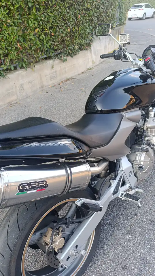 Honda Hornet