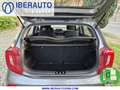 Kia Picanto 1.0 DPi Concept Grau - thumbnail 18