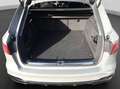 Audi A4 40 TFSI Q 2x S LINE LM19 KAMERA NAVI+ V Grau - thumbnail 15