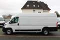 Peugeot Boxer 35 L4H2 180 Automatik*Kamera*ACC*LED*Holz Weiß - thumbnail 9