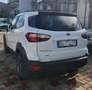 Ford EcoSport 1.0 ecoboost 125CV Active S&S Uff Italy Pelle USB Blanc - thumbnail 4