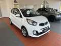 Kia Picanto Edition 7 * 1.Hand / Klima / Garantie * Bianco - thumbnail 2