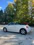 Volkswagen New Beetle Cabrio 1.9 tdi 105cv - thumbnail 11
