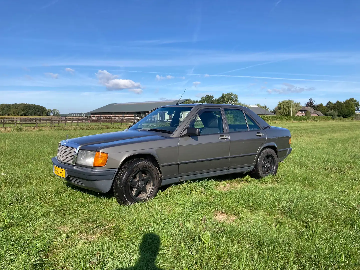 Mercedes-Benz 190 190 2.0 Grijs - 1