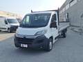 Citroen Jumper 2.2 hdi 130 CV CASSONE CASSONATO FISSO 425 X 204!! Bianco - thumbnail 3
