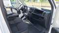 Citroen Jumper 2.2 hdi 130 CV CASSONE CASSONATO FISSO 425 X 204!! Bianco - thumbnail 11