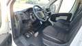 Citroen Jumper 2.2 hdi 130 CV CASSONE CASSONATO FISSO 425 X 204!! Bianco - thumbnail 9