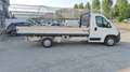 Citroen Jumper 2.2 hdi 130 CV CASSONE CASSONATO FISSO 425 X 204!! Bianco - thumbnail 8