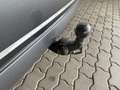 Skoda Octavia Style 4x4 Grau - thumbnail 13