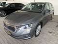 Skoda Octavia Style 4x4 Grau - thumbnail 5