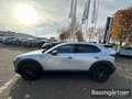 Mazda CX-30 Homura Skyactiv-G Mild-Hybrid 150 Kamera Argento - thumbnail 14