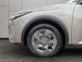 Kia K4 1,0 TGDI Titan mit Winter-Paket P1 Grau - thumbnail 7