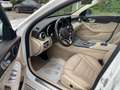 Mercedes-Benz C 300 C -Klasse T-Modell C 300 T d Weiß - thumbnail 10
