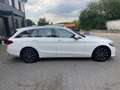 Mercedes-Benz C 300 C -Klasse T-Modell C 300 T d Weiß - thumbnail 7
