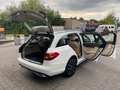 Mercedes-Benz C 300 C -Klasse T-Modell C 300 T d Weiß - thumbnail 19