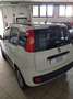 Fiat Panda Panda 1.3 mjt 16v Lounge s Bianco - thumbnail 12