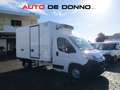 Citroen Jumper 2.2 HDI 165CV CELLA FRIGO FRCX -20°C Blanc - thumbnail 4