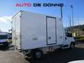 Citroen Jumper 2.2 HDI 165CV CELLA FRIGO FRCX -20°C Blanc - thumbnail 3