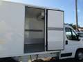 Citroen Jumper 2.2 HDI 165CV CELLA FRIGO FRCX -20°C Blanc - thumbnail 8