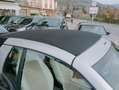 smart forTwo Fortwo II Cabrio  1.0 mhd Passion 71cv Bianco - thumbnail 2