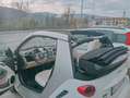 smart forTwo Fortwo II Cabrio  1.0 mhd Passion 71cv Bianco - thumbnail 10