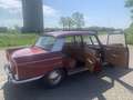Peugeot 404 404 Sedan Rot - thumbnail 19