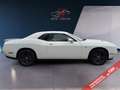 Dodge Challenger 3.6 V6 Automatik/Leder/Kamera White - thumbnail 5