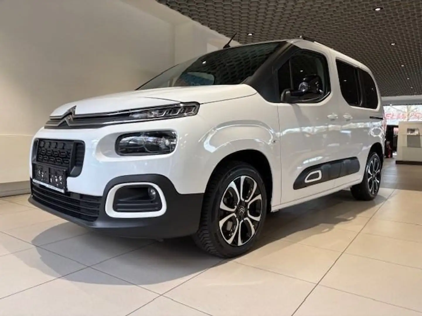 Citroen Berlingo 1.2 PT130 Shine M AUTOM *AHK*Allwetter* Violett - 1