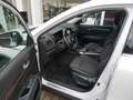 Renault Koleos Limited dCi 150 im Kundenauftrag Weiß - thumbnail 9