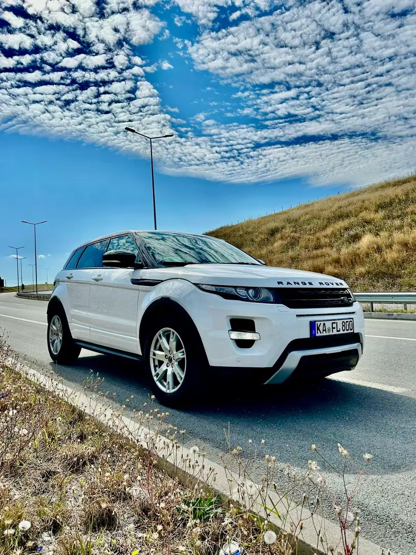 Land Rover Range Rover Evoque SD4 Aut. Dynamic Weiß - 1