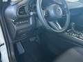 Mazda CX-30 Homura Automatik Blanc - thumbnail 7