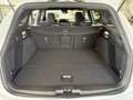 Ford Focus Turnier ST-Line X ACC AHK Head Up Winter-P Weiß - thumbnail 30