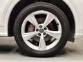 Audi Q5 S line 35 TDI 120kW quattro S tronic Weiß - thumbnail 10