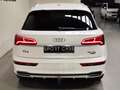 Audi Q5 S line 35 TDI 120kW quattro S tronic Weiß - thumbnail 13