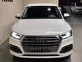 Audi Q5 S line 35 TDI 120kW quattro S tronic Weiß - thumbnail 14