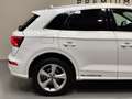 Audi Q5 S line 35 TDI 120kW quattro S tronic Weiß - thumbnail 7