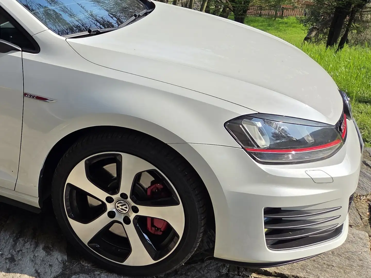 Volkswagen Golf GTI 5p 2.0 tsi Performance Business&Drive - 1