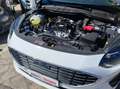 Ford Fiesta 1.1 Titanium Gpl 75cv Blanc - thumbnail 5