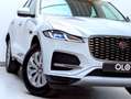 Jaguar F-Pace 2.0 T AWD P250 S - 8.964km!! - LIKE NEW - GARANTIE Blanc - thumbnail 5