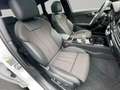 Audi A4 A4 Av. 45 TFSI qu. S line Matrix HuD Pano AHK Weiß - thumbnail 19