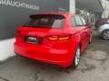 Audi A3 8V 1,6 TDI S-Line / Xenon / Rot - thumbnail 4