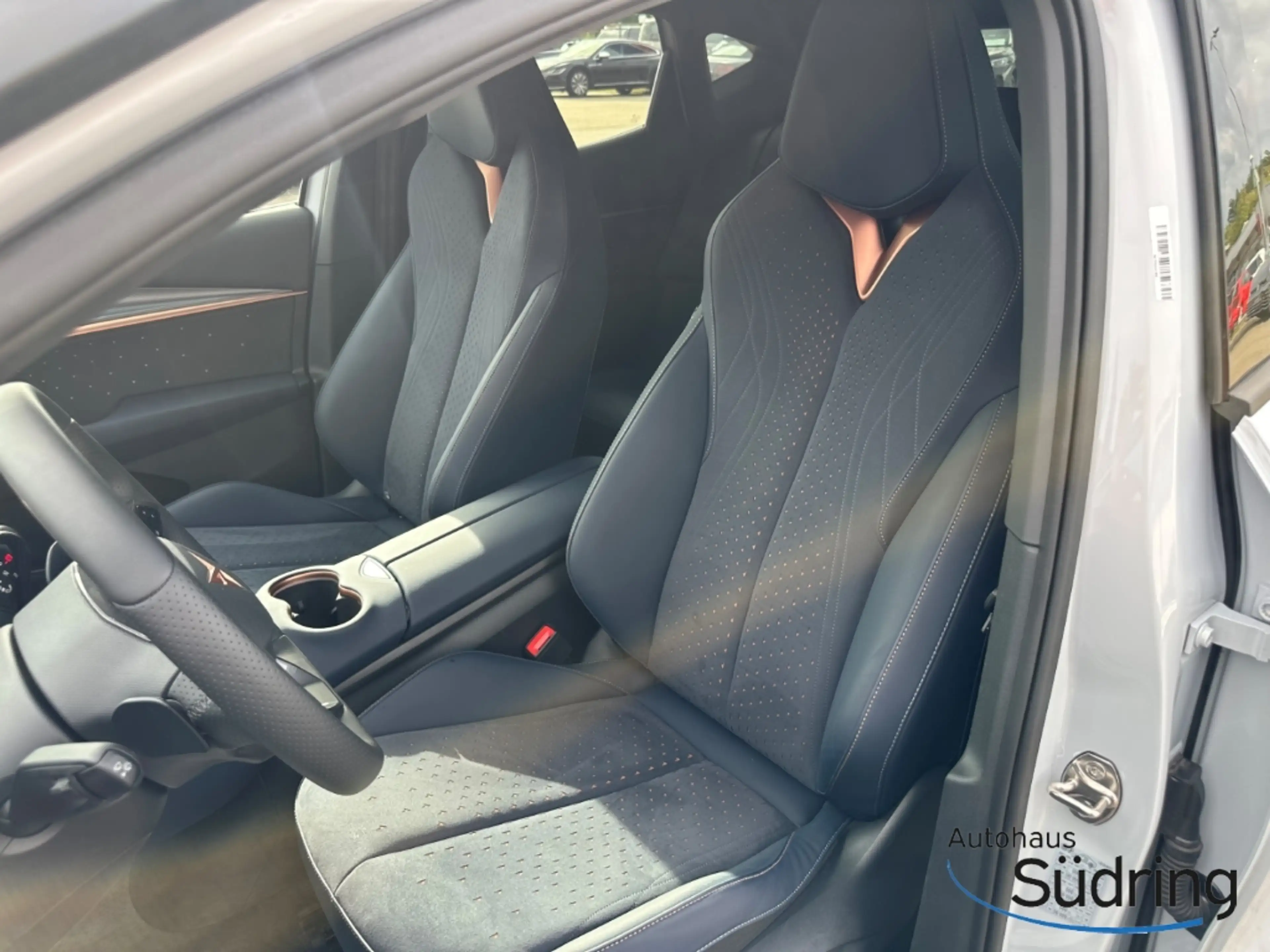 CUPRA Tavascan Endurance Navi Sennheiser Wärmepumpe — photo 12