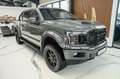 Ford F 150 XLT 5,0 SPORT LED/4x4/AHK/KAMERA TOP Gris - thumbnail 3