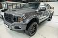 Ford F 150 XLT 5,0 SPORT LED/4x4/AHK/KAMERA TOP Gris - thumbnail 1