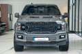 Ford F 150 XLT 5,0 SPORT LED/4x4/AHK/KAMERA TOP Gris - thumbnail 2