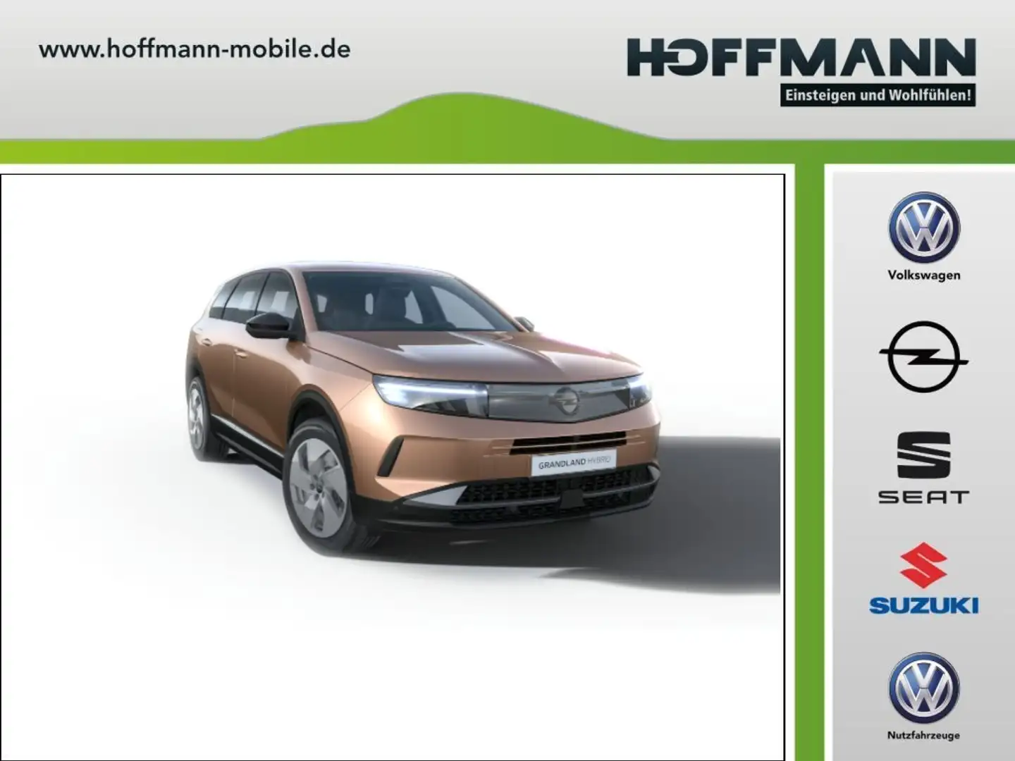 Opel Grandland Edition inkl. Komfort Paket Beige - 1