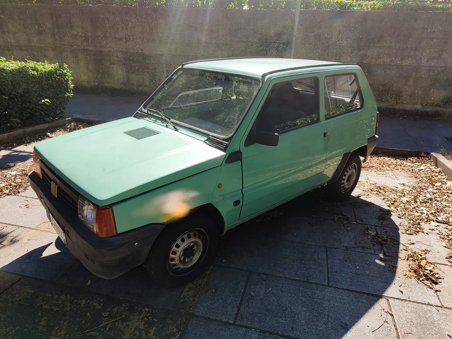 Fiat Panda Panda 1.1 Young Verde - 1