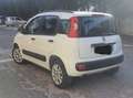 Fiat New Panda easy Білий - thumbnail 3
