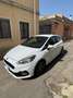 Ford Fiesta 5p 1.5 tdci ST-Line 85cv - thumbnail 2